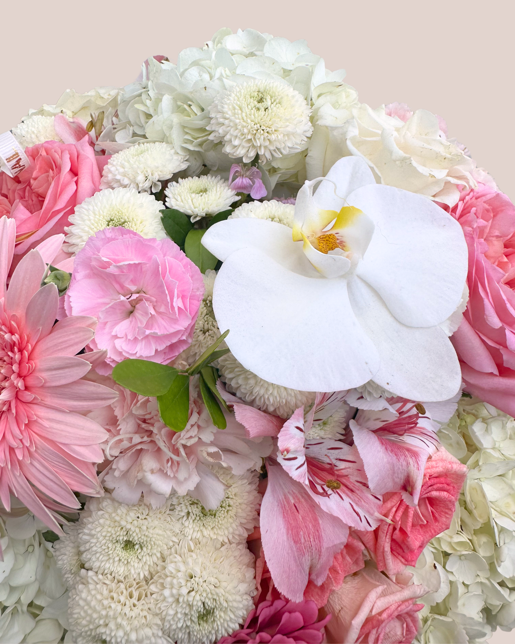 BOX REINA FLORAL