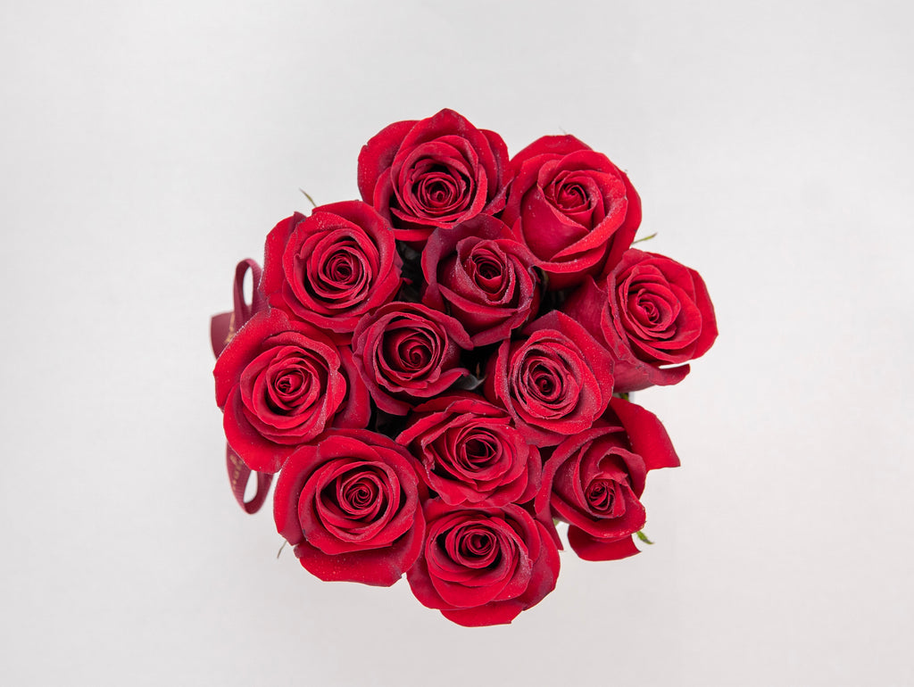 BOX ROSAS ROJAS